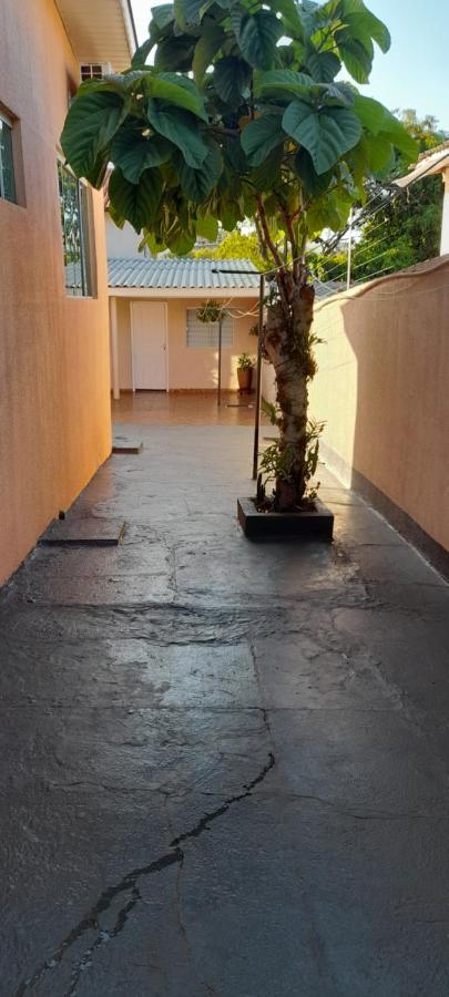 Studio Proximo Ao Centro E Corredor Turistico 伊瓜苏 外观 照片